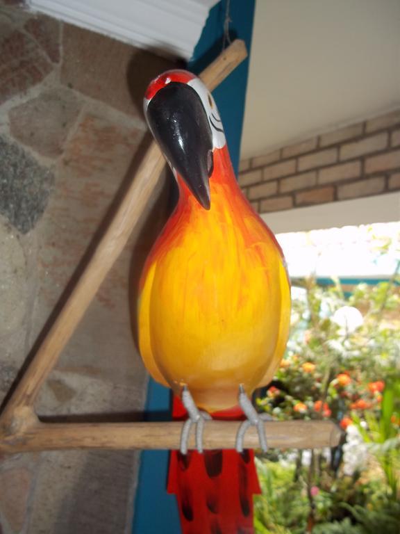 Pousada Riacho Doce Caraguatatuba Pokoj fotografie